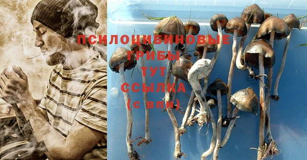 а пвп мука Бородино