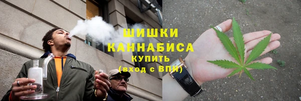 прущая мука Богданович