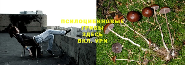 синтетический гашиш Верхний Тагил