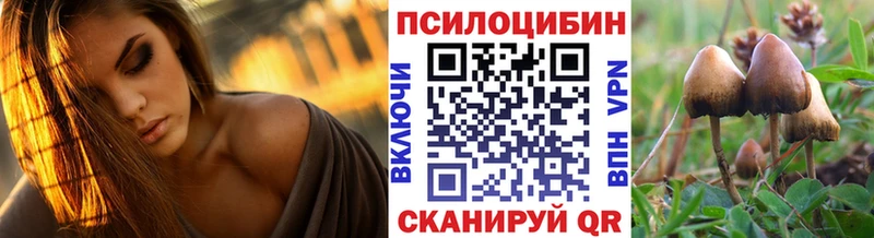Псилоцибиновые грибы прущие грибы  OMG   Дно 